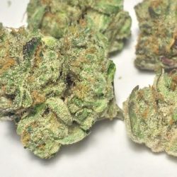 White Cookies Cannabis Strain