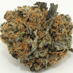 Purple Sage Cannabis Strain