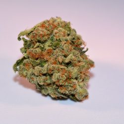 Strawberry Cannabis Strain