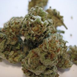 White Smurf Cannabis Strain