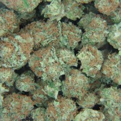 K-Train Cannabis Strain