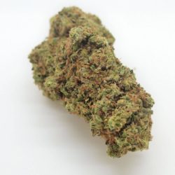 Orange Durban Cannabis Strain