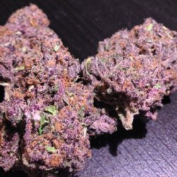 Purple Bud Cannabis Strain