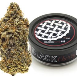 Black Cherry Pie Cannabis Strain