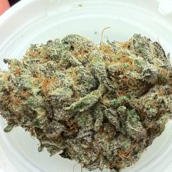 Blackberry Bubble Cannabis Strain