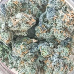 Blucifer Cannabis Strain