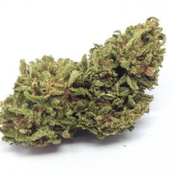 Blue Satellite Cannabis Strain