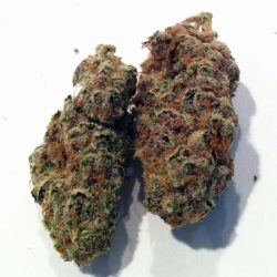 Blueberry Diesel Cannabis Strain