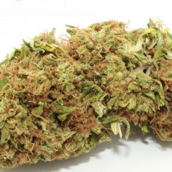 Butterscotch Cannabis Strain