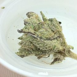 Ape Shit Cannabis Strain