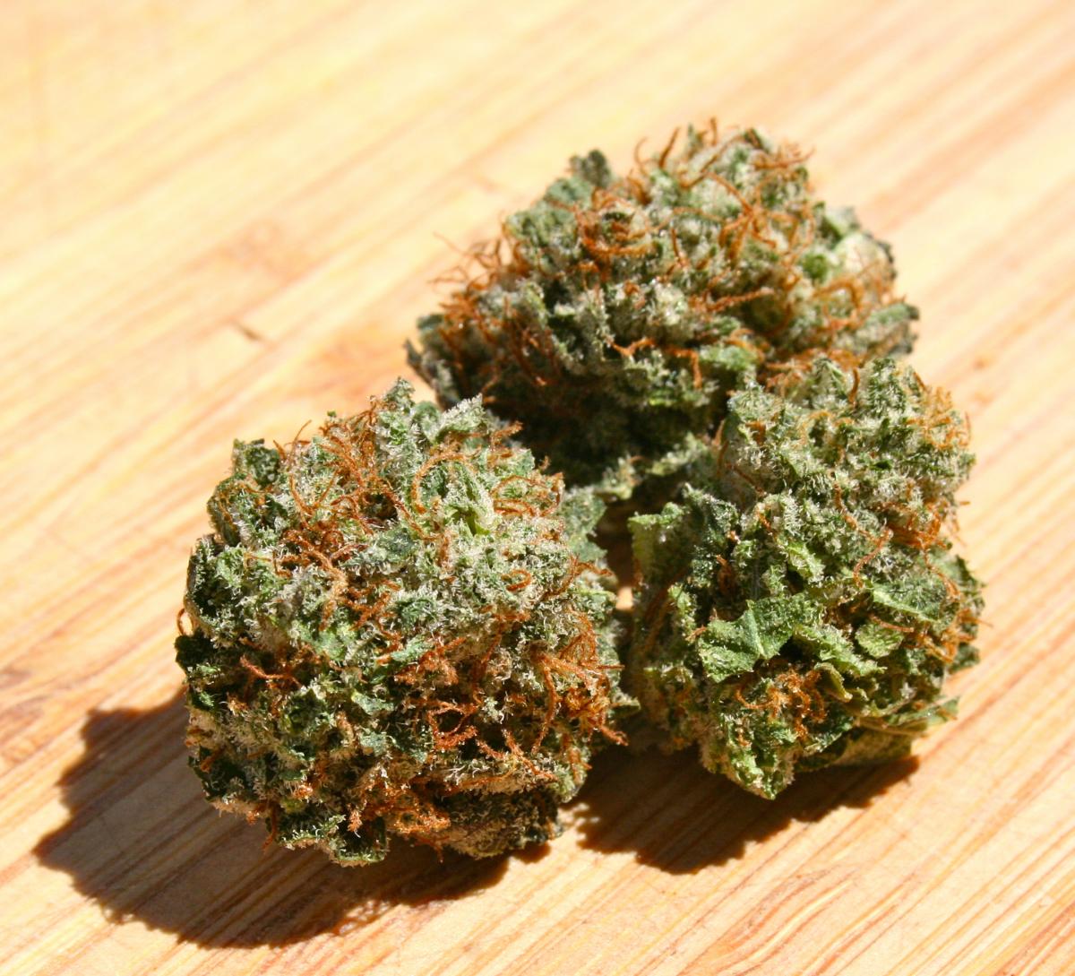 Durban Cookies is the Durban Poison-dominant phenotype of Girl Scout Cookie...