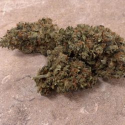 G.O.A.T. Cannabis Strain