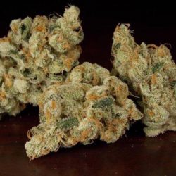 Grapefruit Diesel Cannabis Strain