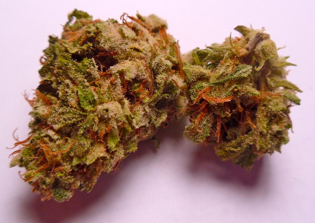 BC Roadkill is another strain that British Columbia is proud to call their ...